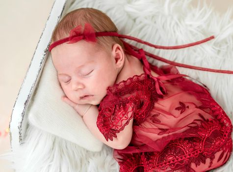 Dreaming newborn in tiny bed with christmas decorations