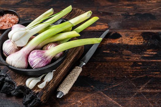 Young Spring garlic bulbs and cloves in a pan. Dark Wooden background. Top view. Copy space.