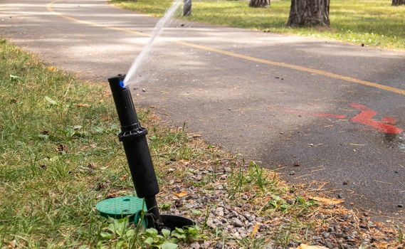 Lawn irrigation system working in a green park. Spraying the lawn with water in hot weather. Automatic sprinkler. The automatic watering sprinkler head watering the lawn. Smart garden