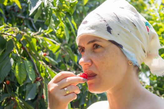 A beautiful young woman in a garden outside the city picks and bites a cherry near a tree on a sunny summer day. Portrait of a girl who eats cherries in the garden. Summer fruit picking season