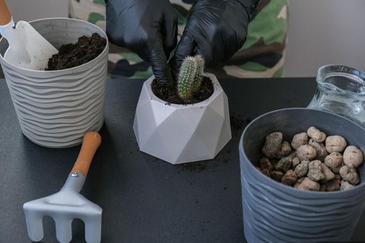 Close-up shot of female hands holding cactus. Home garden concept. Gardening tools. Gardener's workplace. Earth in a bucket. Taking care of plants. Home spring planting