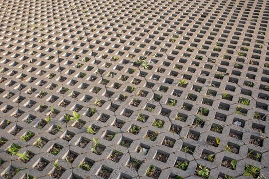 Background from paving slabs with grass sprouting through them. Stone tiles on the sidewalk. Footpath. Textured patterned background. Eco-friendly covering - concrete lawn grating