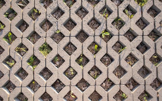 Background from paving slabs with grass sprouting through them. Stone tiles on the sidewalk. Footpath. Textured patterned background. Eco-friendly covering - concrete lawn grating