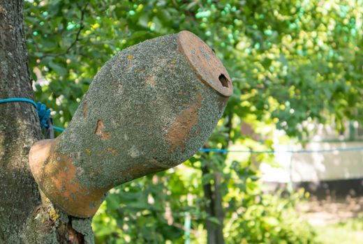 Old clay jug on a tree branch, Ukrainian village. A pot in the countryside. Antique traditional handmade tableware. Ceramic jug with cracks, scuffs and a hole