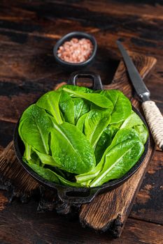 Baby romain green salad leaves in pan. Dark wooden background. Top view.