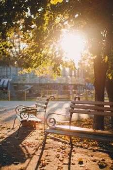 Empty bench in the sunny golden rays in yellow colorful autumn park