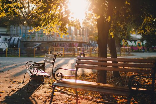 Empty bench in the sunny golden rays in yellow colorful autumn park