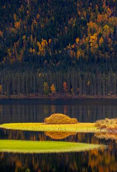 Northern Lake Yukon Canada Autumn Colors Wilderness