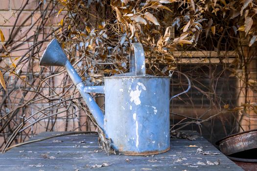 An old watering can on a table surrounded by vines in a domestic garden