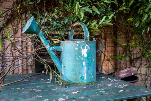 An old watering can on a table surrounded by vines in a domestic garden