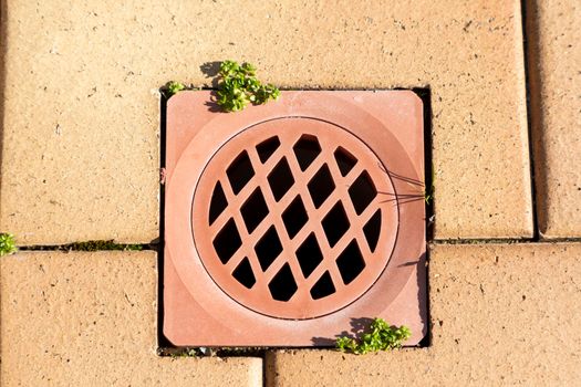 A stormwater drain cover inserted in brown paving stones near a swimming pool