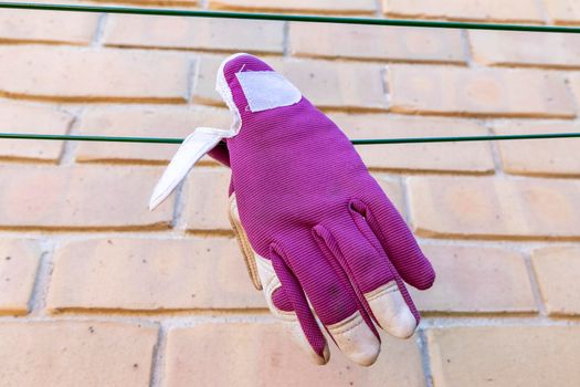 Purple gardening gloves drying on a clothes line in the wind