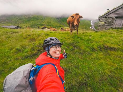 Caucasian woman tourist cyclist in helmet and raincoat takes selfie photo herself against Norwegian mountains and a funny brown cow in rainy cloudy weather. Theme to love animals and veggie.