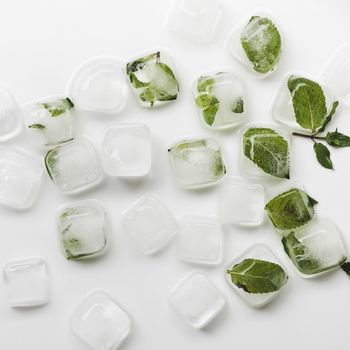 ice cubes leaves