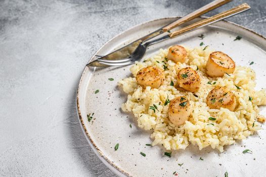 Italian Risotto with pan seared sea scallops. White background. Top view. Copy space.