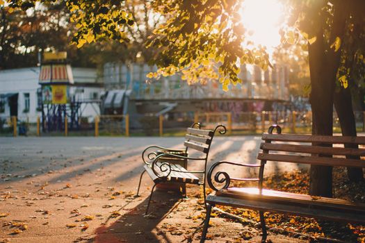 Empty bench in the sunny golden rays in yellow colorful autumn park