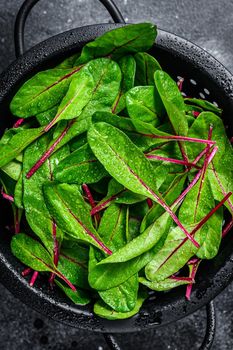 Fresh green chard mangold leaves in colander. Black background. Top view.