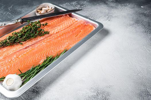 Raw uncooked sea salmon fillet fish in a kitchen tray with herbs. White background. Top view. Copy space.