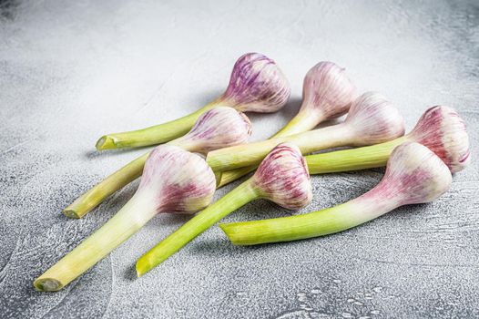 Spring young garlic bulbs on kitchen table. White background. Top view.