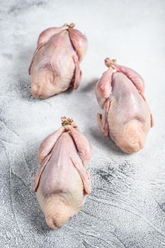 Raw quails on a kitchen table. White background. Top view.