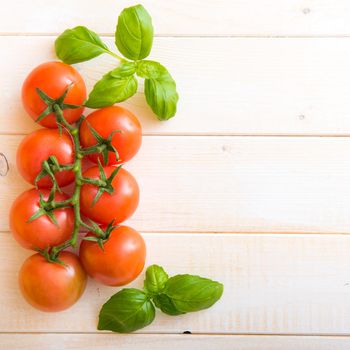 tomatoes and basil on a white wooden table