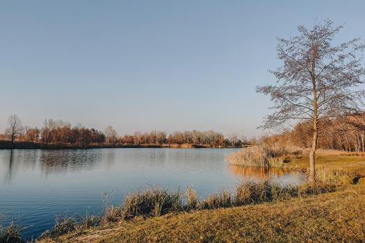 Vivid autumn day. Autumn landscape over river with bright grass on shore. Scenic nature at bright evening with colorful sky and water.