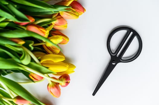 A beautiful bouquet of yellow, orange and red Tulips, the concept of flower care. White background. Top view. Copy space.