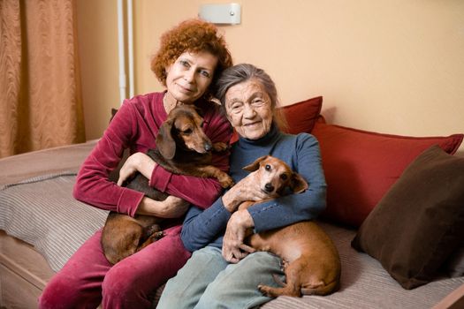 Elder woman and her adult daughter together with two dachshund dogs on sofa indoors spend time happily, portrait. Theme of mother and daughter relationship, taking care of parents, family care.