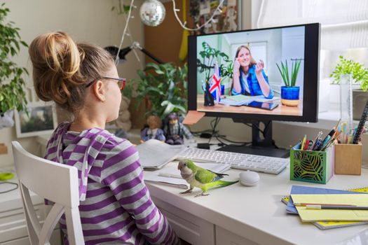 Pre-adolescent student girl sitting at home at table with parrot pet, studying, watching virtual video lesson on computer, communicates in chat remotely. Children education technology lifestyle pets