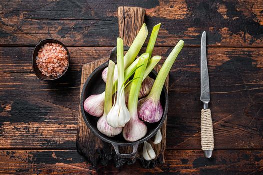 Young Spring garlic bulbs and cloves in a pan. Dark Wooden background. Top view.