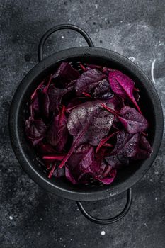 Leaves of Swiss red chard or Mangold salad in a colander. Black background. Top view.
