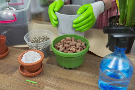 Houseplants, green eco urban trends. Close-up care of indoor plants, transplantation, fertilization. On the table are pots, soil, expanded clay, perlite, vermiculite, fertilizers, sprayer