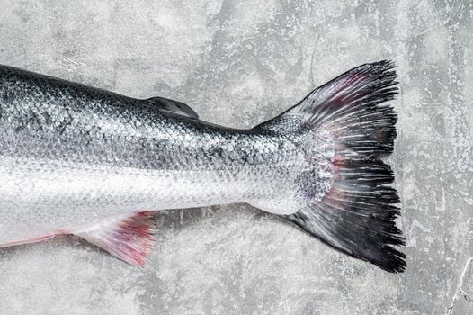 Fresh raw salmon red whole fish on kitchen table. Gray background. Top view.