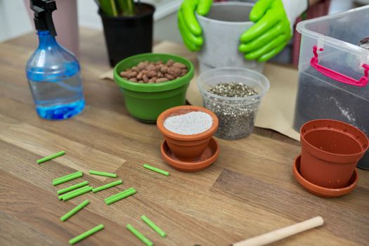 Houseplants, green eco urban trends. Close-up care of indoor plants, transplantation, fertilization. On the table are pots, soil, expanded clay, perlite, vermiculite, fertilizers, sprayer