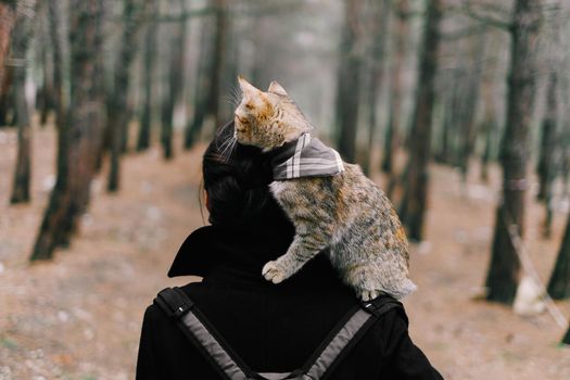 Unrecognizable woman with cute cat on her shoulder walking in the forest, rear view.