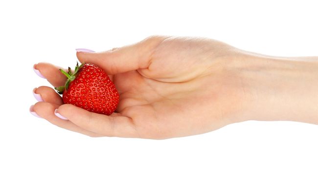 hand holding a strawberry isolated on white background. Close up.