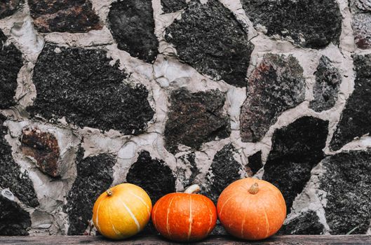 Ripe small farmer ecologically clean pumpkins of different varieties