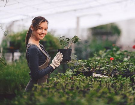 girl working in the garden with seedlings in pots