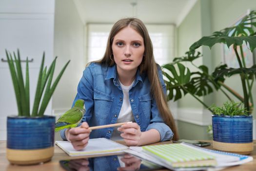 Young female university student studying online using video call, sitting at home at desk with pet green parrot looking at camera webcam talking. Technology in education, distance teaching e-education