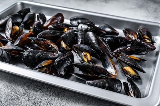 Seafood fresh blue mussels in kitchen steel tray. White background. Top view.