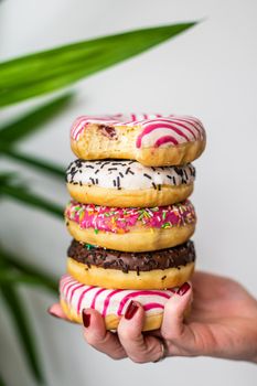 Female holds in hand colorful stack of glazed donuts. White background. Top view. Copy space.