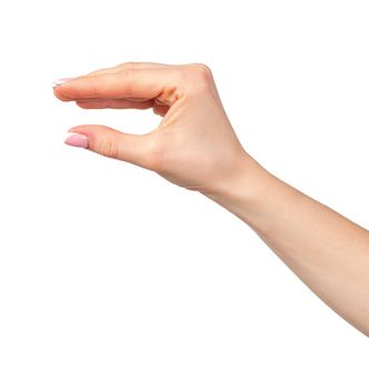 Female hand holding something isolated on white background, copy space