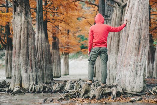 Unrecognizable young man wearing in hoody and cargo pants walking in autumn park.