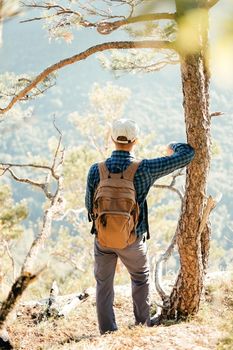 Backpacker young man walking in pine forest on a sunny day.
