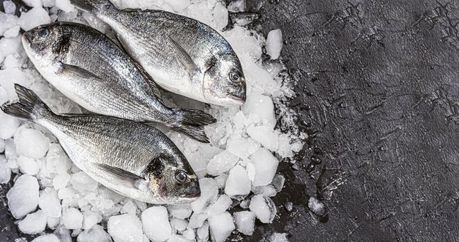 fresh raw dorado fish on ice