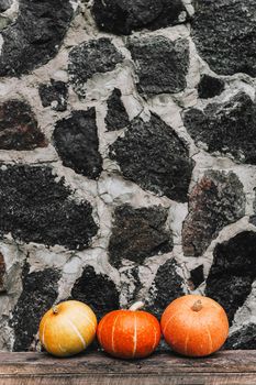 Ripe small farmer ecologically clean pumpkins of different varieties