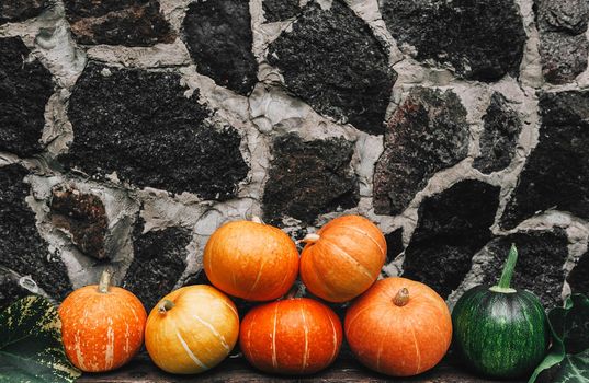 Ripe small farmer ecologically clean pumpkins of different varieties