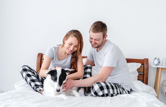 Beautiful caucasian couple sitting in the bed and petting cute dog. Young man and woman with pet at home. Portrait of happy family with doggy