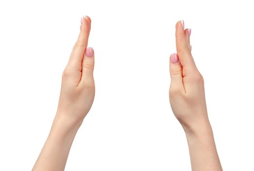 Female hand holding something isolated on white background, copy space