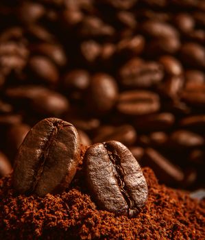 coffee beans lying on a mound of coffee